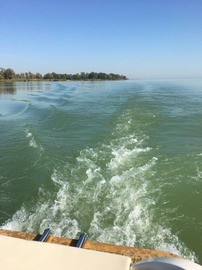 Andre & Moni Daire Balatongyörök Dış mekan fotoğraf